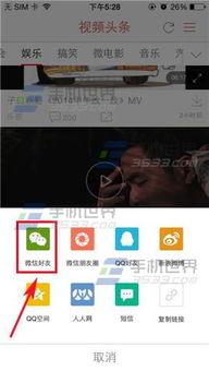 分享视频,探索未知世界的精彩瞬间