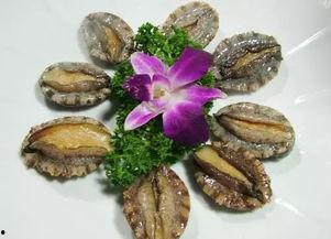 黑鲍鱼网红吃瓜网站,揭秘娱乐圈幕后风云