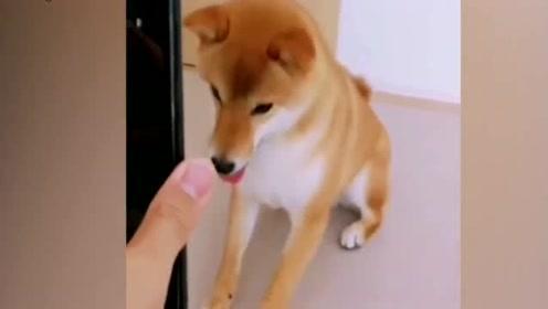 番号视频,揭秘热门番剧背后的精彩故事