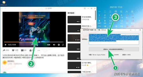 如何下载微信视频,微信视频下载全攻略