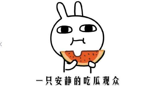 抖音黑料吃瓜免费,免费吃瓜，带你领略网络舆论风云