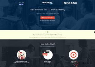 BT视频,揭秘热门影视作品的幕后制作故事