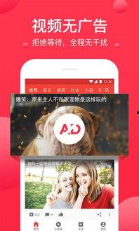 西瓜视频官方网站,探索短视频新天地，畅享海量精彩内容