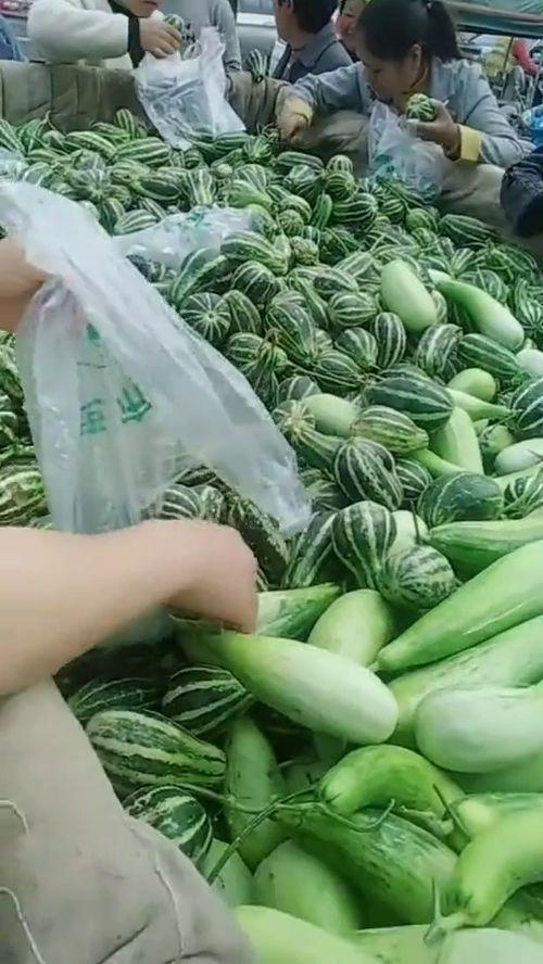 今日有啥瓜好吃美食,瓜果飘香，美味瓜类盘点