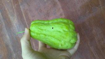 吃佛手瓜大便黑正常吗图片,揭秘健康饮食小常识