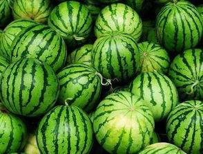 南部县吃瓜爆料,揭秘当地奇闻轶事