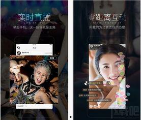 m豆视频,趣味互动，轻松学习新潮流