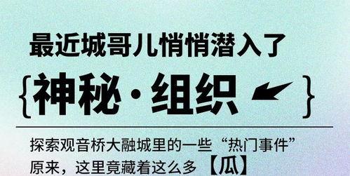 小说今日宜吃瓜,揭秘小说中的神秘事件