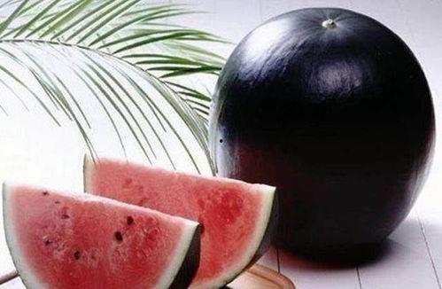 来姨妈可以吃黑瓜吗,“经期女性适宜食用黑瓜吗？”