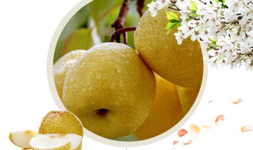 黑酥瓜怎么吃最好吃,解锁最佳食用秘诀