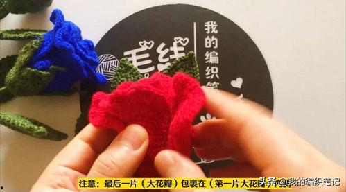 玫瑰花钩织教程视频,从入门到精通，打造浪漫家居艺术品