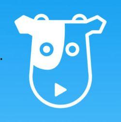 牛牛视频下载,轻松获取海量视频资源攻略