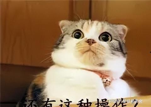 吃瓜天堂爆料黑料喵小吉