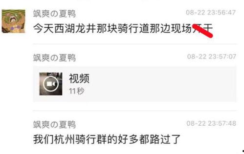 今日吃瓜免费爆料网站视频,带你一探究竟！