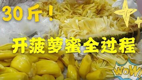 菠萝蜜视频,揭秘生活百态，畅享视觉盛宴