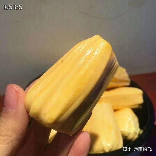 菠萝蜜视频,揭秘生活百态，畅享视觉盛宴