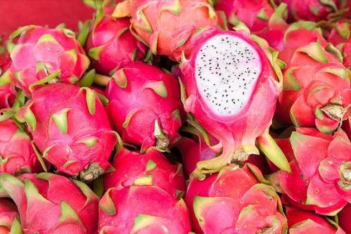 火龙果视频,揭秘热门短视频背后的魅力与影响力