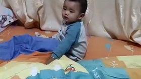 鸡鸡视频,揭秘动物世界的趣味瞬间