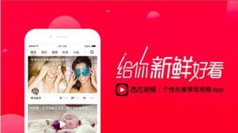 今日有瓜直播视频,揭秘热门话题背后的真相