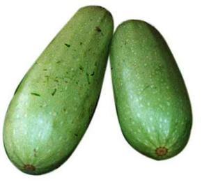 梢瓜批发价格今日,市场行情一览”