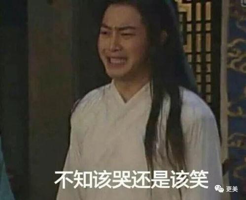 秦嘉倪吃瓜黑料网,吃瓜黑料背后的真相与争议