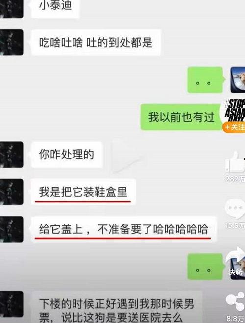 网曝吃瓜今日更新网站视频,精彩视频盘点，揭秘娱乐圈幕后故事