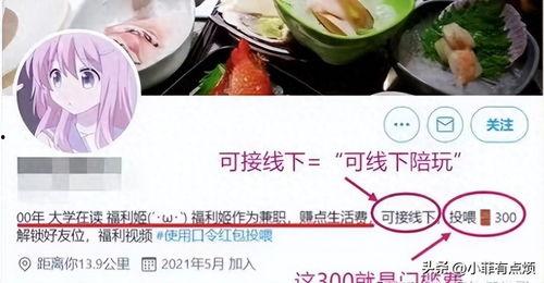 福利姬 视频,揭秘网络红人的魅力与影响力