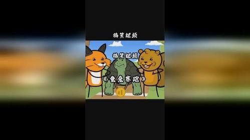 龟兔赛跑视频,智慧与耐心的胜利