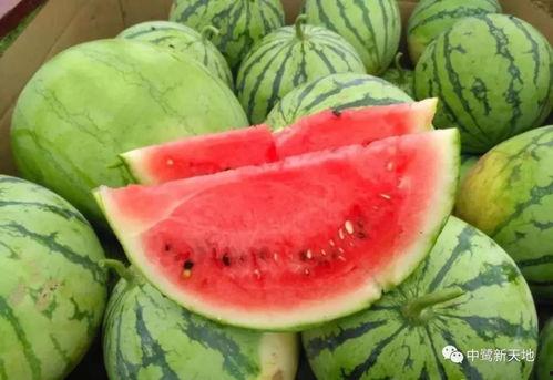 0513吃瓜爆料,揭秘娱乐圈最新热点事件