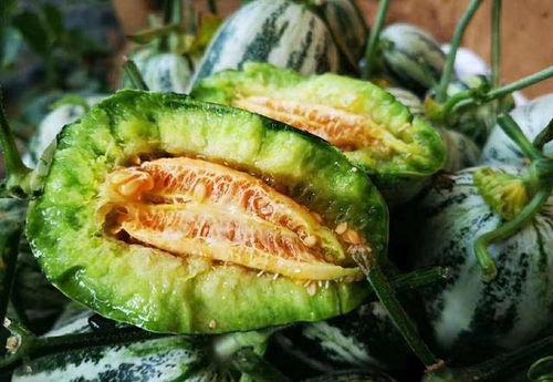 tai9最新吃瓜爆料