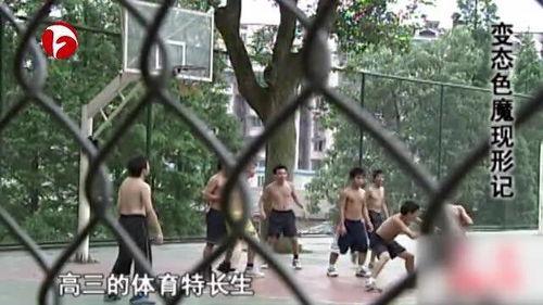 男女下面视频,男女视频对比解析