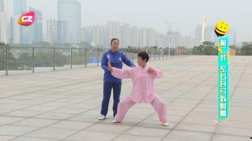 太极拳八段锦教学视频