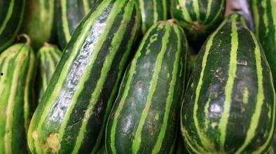 黑梢瓜怎么吃最好吃图片,图片揭秘最佳食用技巧