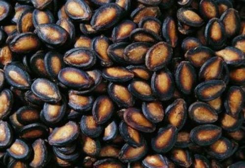 吃的黑瓜米,探寻传统美食的独特魅力