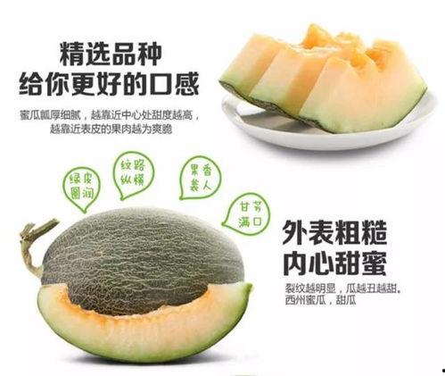 糖尿病可以吃黑蜜瓜吗,糖尿病人群可适量食用黑蜜瓜