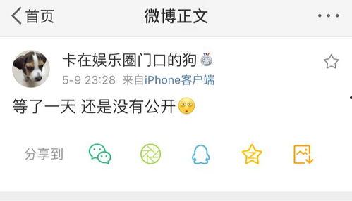 吃瓜在线爆料小说免费阅读,揭秘热门小说免费阅读背后的秘密