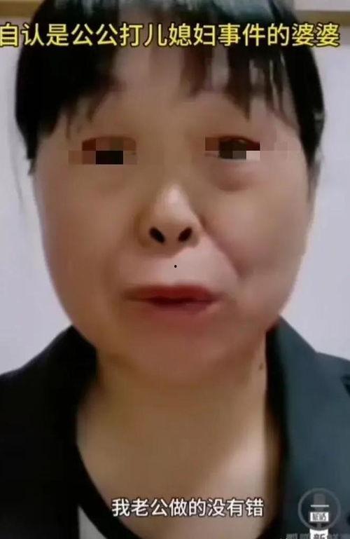 公媳视频,家庭伦理的边界与挑战