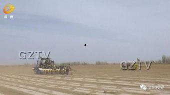 瓜州西湖镇今日新闻,聚焦乡村振兴，共绘美好家园新画卷