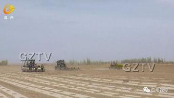 瓜州西湖镇今日新闻,聚焦乡村振兴，共绘美好家园新画卷