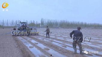 瓜州西湖镇今日新闻,聚焦乡村振兴，共绘美好家园新画卷