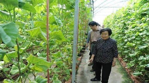 瑞安吃瓜最新事件爆料是真的吗