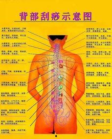 怎么样刮痧视频教程,专业刮痧视频教程详解