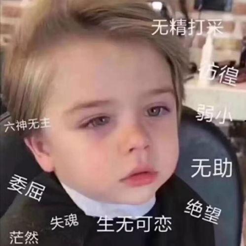 倪妮吃瓜爆料图片表情包,揭秘娱乐圈幕后故事