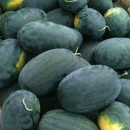 红黑吃瓜爆料,揭秘娱乐圈幕后风云