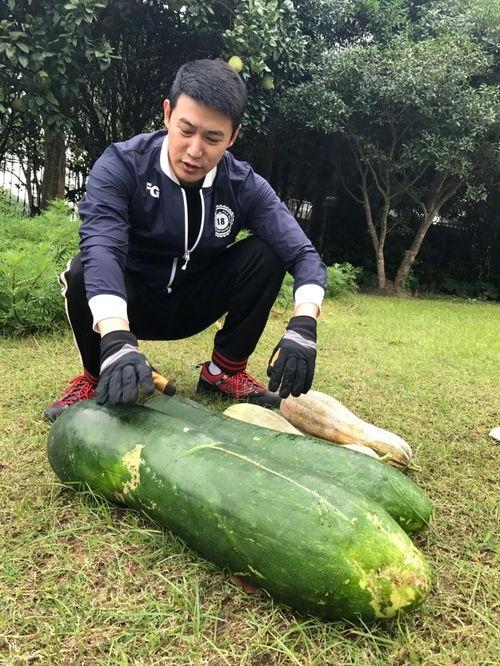 吴希诺吃瓜爆料图片,吃瓜现场大揭秘！