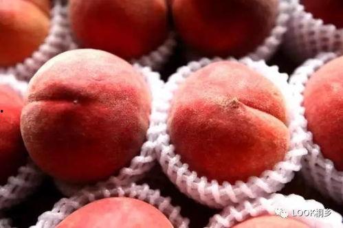 红桃吃瓜爆料,揭秘娱乐圈幕后真相