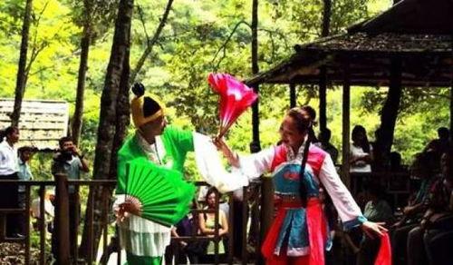 赣南采茶戏全部视频,千年古韵，视听盛宴