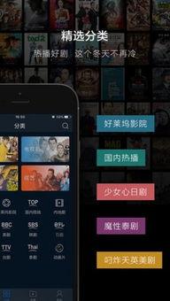 阿v视频,揭秘网络短视频的魅力与影响