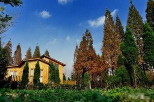 瓜州今日穿什么,时尚与舒适的完美融合