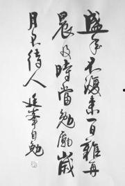 书法视频欣赏,书法艺术之美赏析